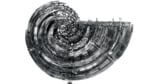 Wim delvoye nautilus